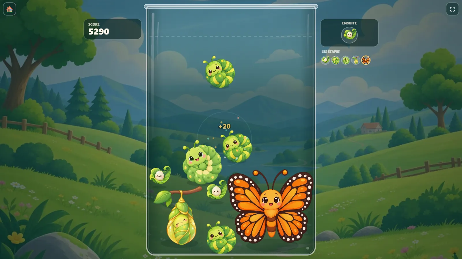 Fusion, jeu éducatif de fusion pour apprendre les cycles de vie et les suites — Le Bocal des Découvertes